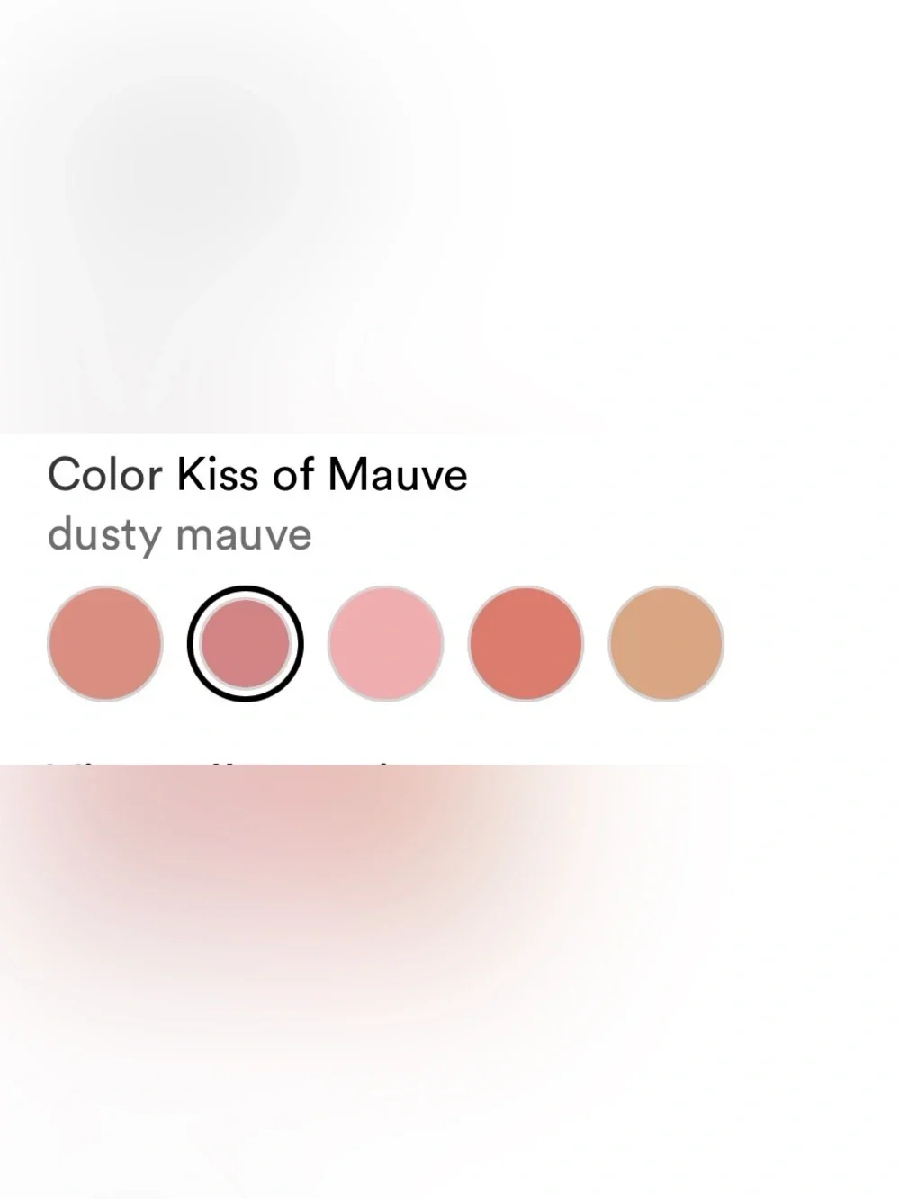 Bare Minerals Gen Nude Blonzer in KISS OF MAUVE